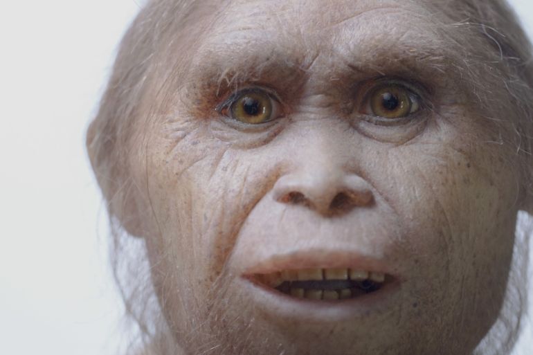 Hobbit ancestors