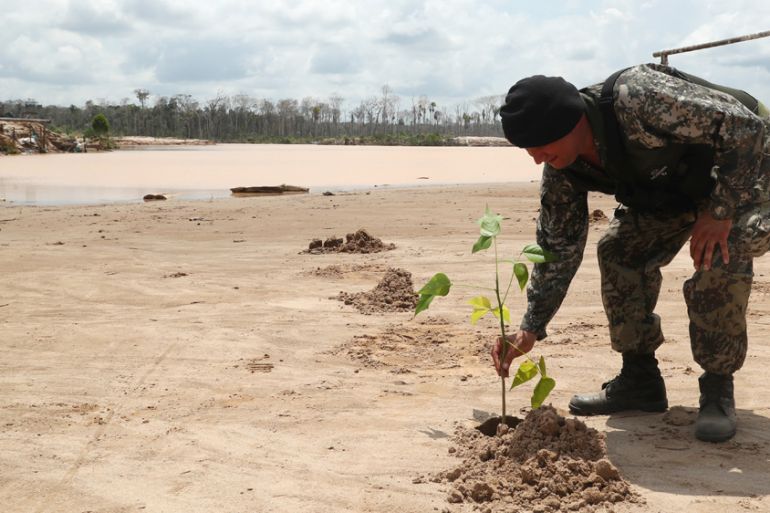 tree planting