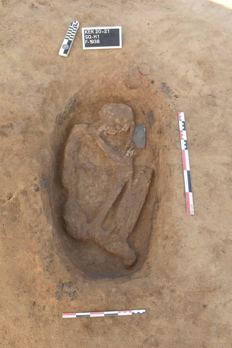 A human skeleton from a tomb found in the Nile Delta is pictured [Reuters]