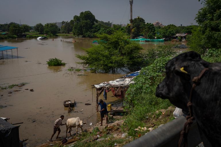 India Climate Migration