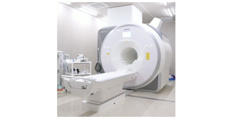 Yu Takagi and his colleague used an MRI to scan subjects’ brains for their experiment [Yu Takagi]