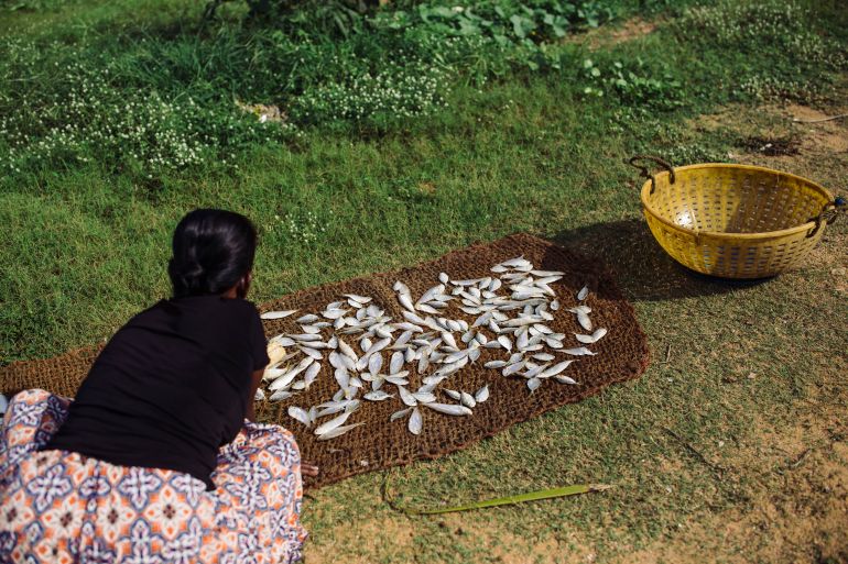 There is no clear trajectory of alternative jobs for fishers