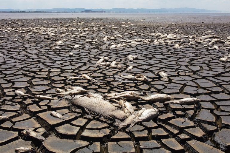 Climate