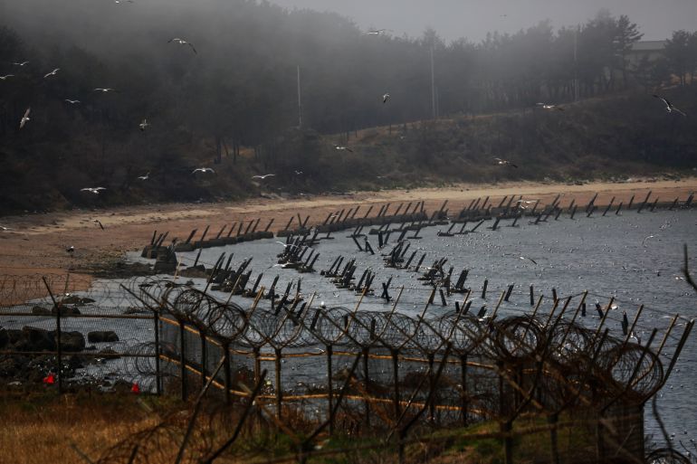 Anti-landing spikes placed by South Korean military are seen during low tide on a beach.
