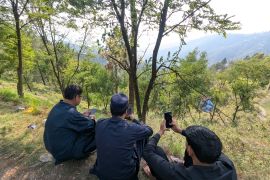 People sit on a hillside with their mobile phones